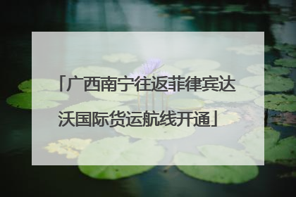 广西南宁往返菲律宾达沃国际货运航线开通